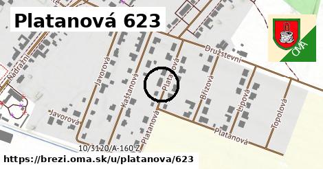 Platanová 623, Březí