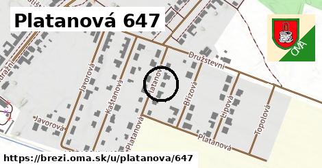 Platanová 647, Březí