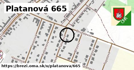 Platanová 665, Březí