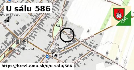 U sálu 586, Březí