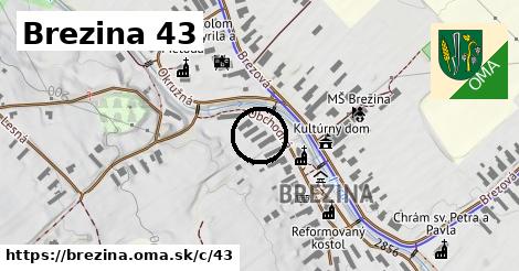Brezina <span class="supisne">43</span>
