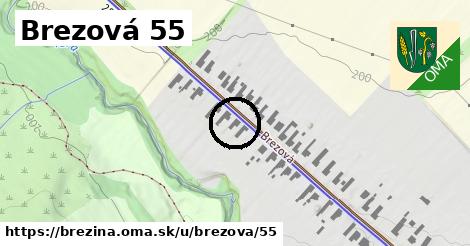 Brezová 55, Brezina