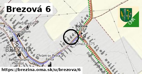 Brezová 6, Brezina