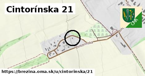 Cintorínska 21, Brezina