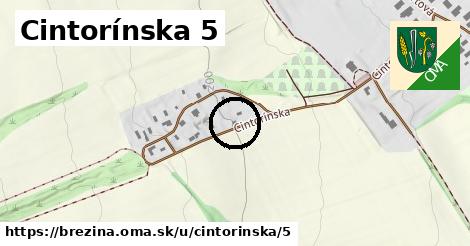 Cintorínska 5, Brezina