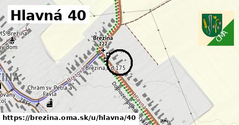 Hlavná 40, Brezina