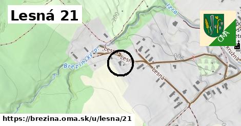 Lesná 21, Brezina