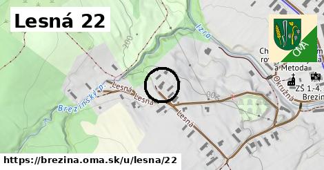 Lesná 22, Brezina