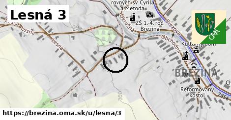 Lesná 3, Brezina