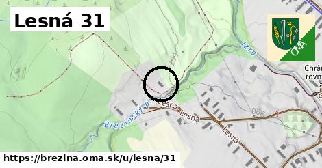Lesná 31, Brezina