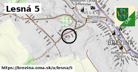 Lesná 5, Brezina