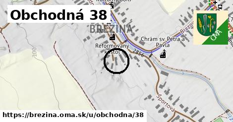 Obchodná 38, Brezina