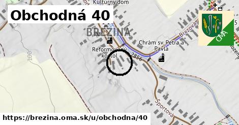 Obchodná 40, Brezina