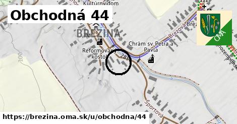 Obchodná 44, Brezina