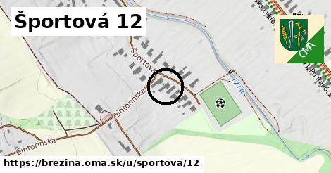 Športová 12, Brezina