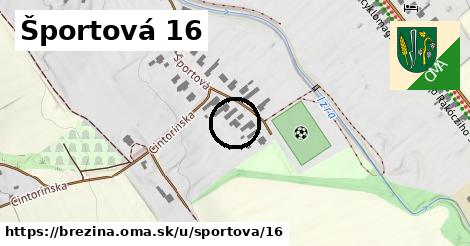 Športová 16, Brezina