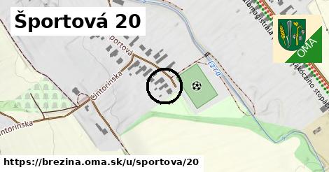 Športová 20, Brezina