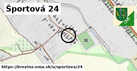 Športová 24, Brezina