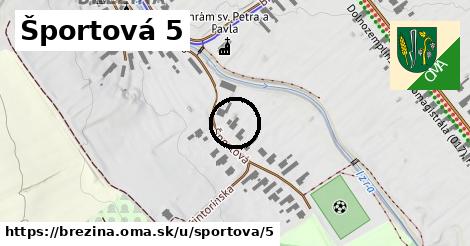 Športová 5, Brezina