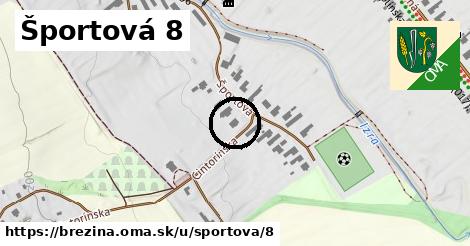 Športová 8, Brezina