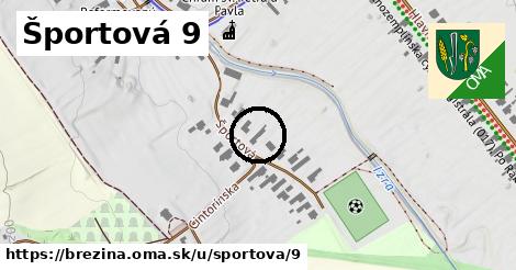 Športová 9, Brezina