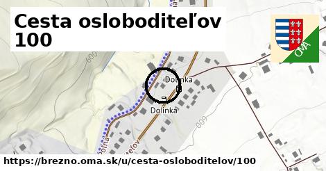 Cesta osloboditeľov 100, Brezno