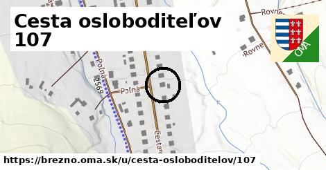 Cesta osloboditeľov 107, Brezno