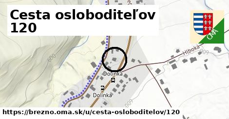 Cesta osloboditeľov 120, Brezno