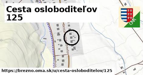 Cesta osloboditeľov 125, Brezno