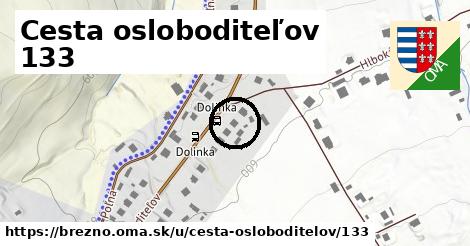 Cesta osloboditeľov 133, Brezno