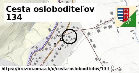 Cesta osloboditeľov 134, Brezno