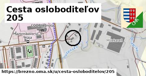 Cesta osloboditeľov 205, Brezno