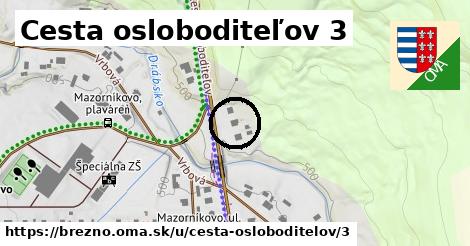 Cesta osloboditeľov 3, Brezno