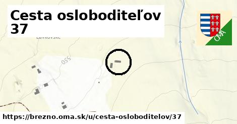 Cesta osloboditeľov 37, Brezno