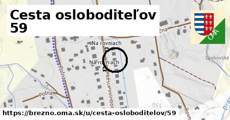 Cesta osloboditeľov 59, Brezno