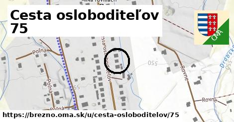 Cesta osloboditeľov 75, Brezno