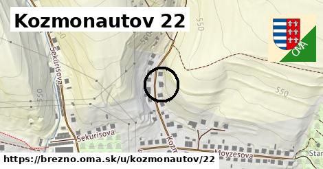 Kozmonautov 22, Brezno