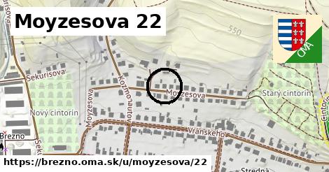 Moyzesova 22, Brezno