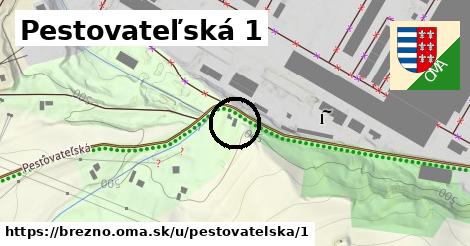 Pestovateľská 1, Brezno