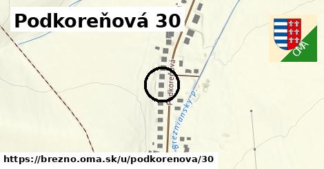 Podkoreňová 30, Brezno