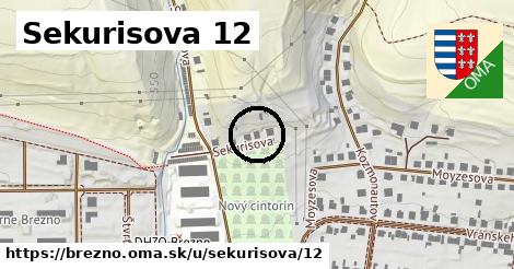 Sekurisova 12, Brezno