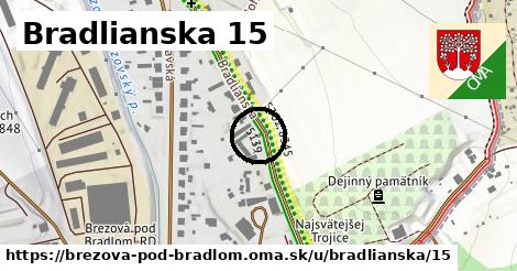 Bradlianska 15, Brezová pod Bradlom