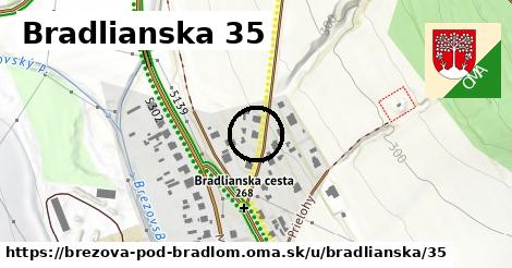 Bradlianska 35, Brezová pod Bradlom