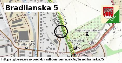 Bradlianska 5, Brezová pod Bradlom