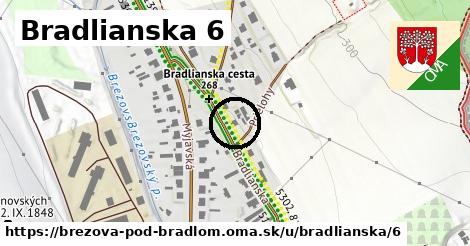 Bradlianska 6, Brezová pod Bradlom