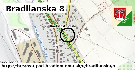 Bradlianska 8, Brezová pod Bradlom