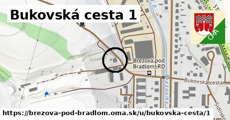 Bukovská cesta 1, Brezová pod Bradlom