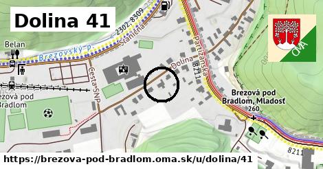 Dolina 41, Brezová pod Bradlom