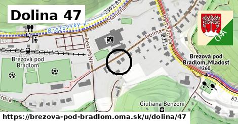 Dolina 47, Brezová pod Bradlom