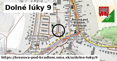 Dolné lúky 9, Brezová pod Bradlom